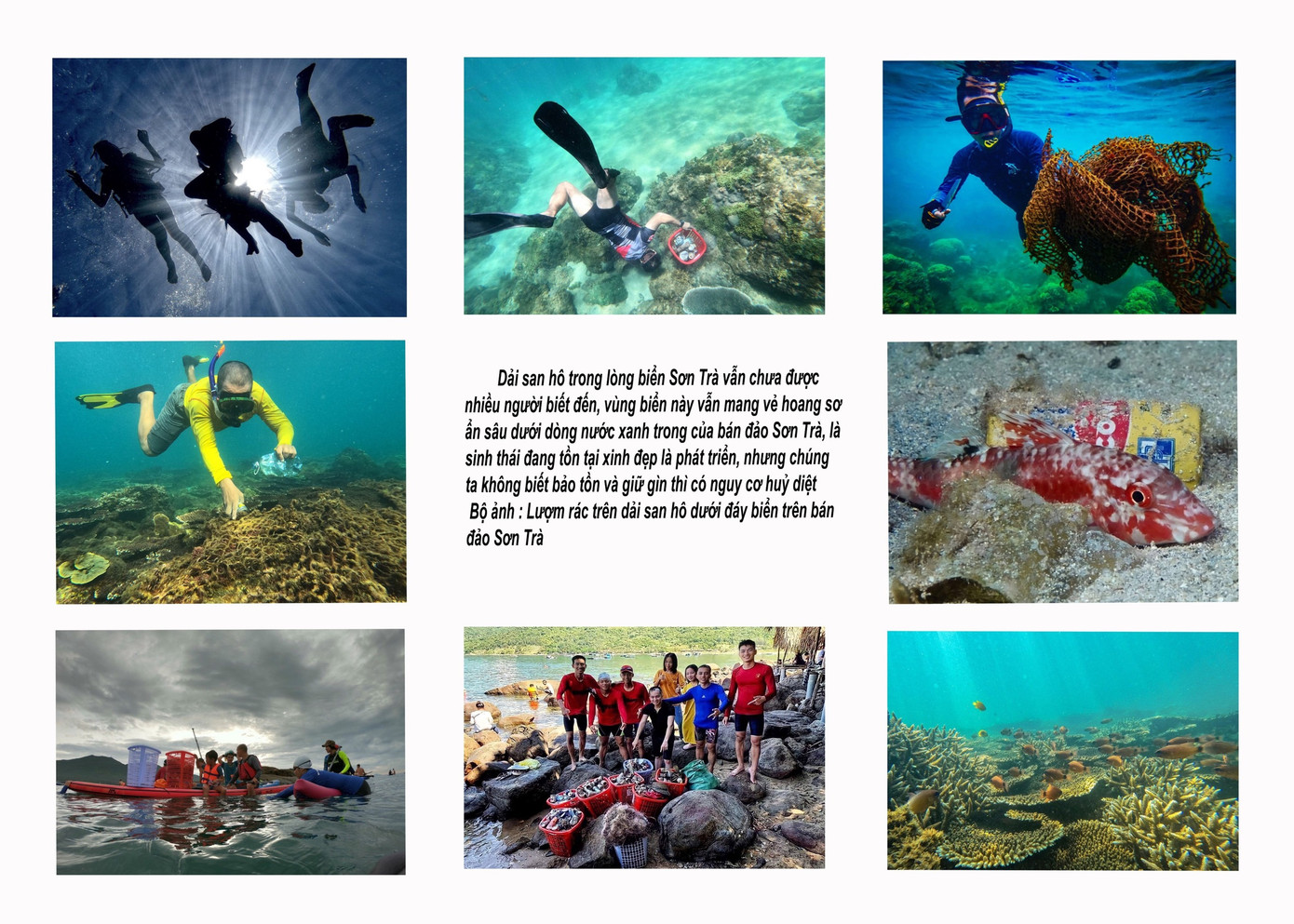 Tác phẩm Nhặt rác nơi đáy biển của tác giả Đào Đặng Công Trung.