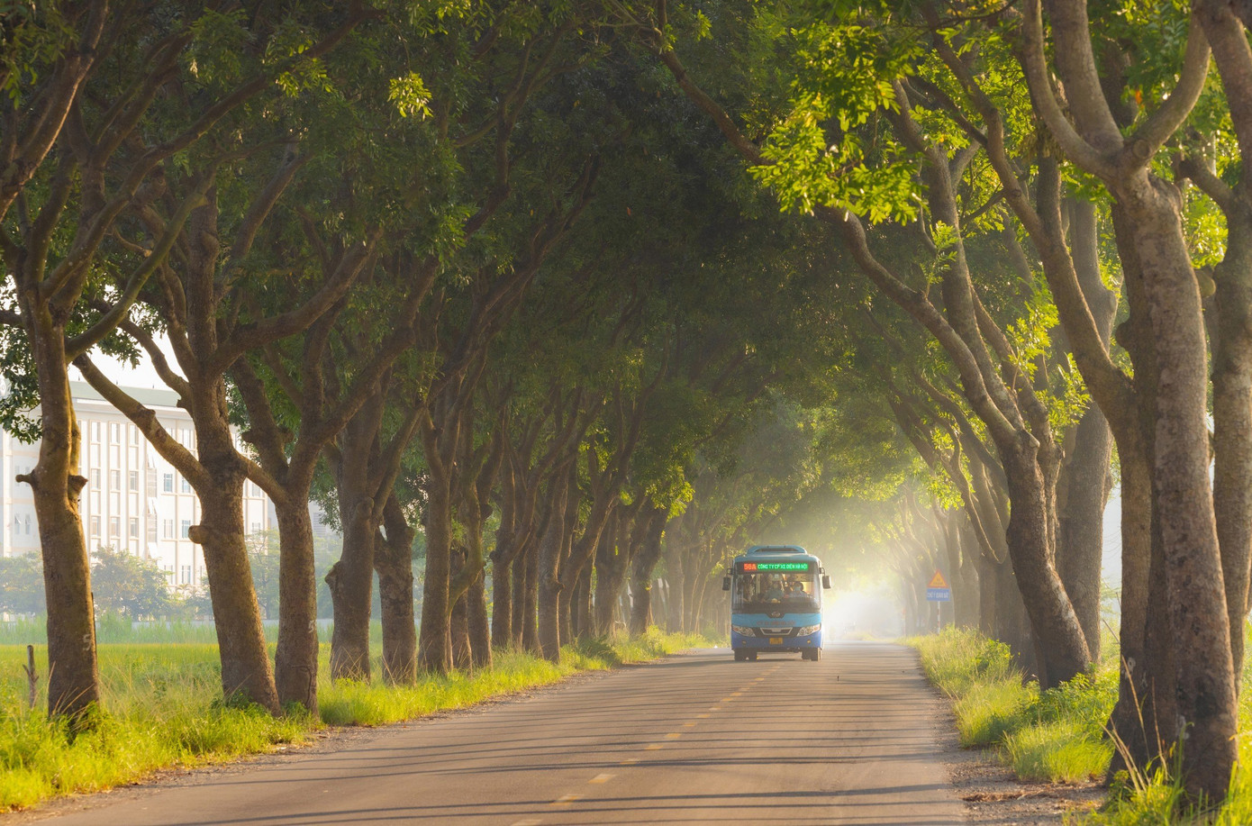 Tác phẩm Xe bus mùa thu của tác giả Lê Quang Long.