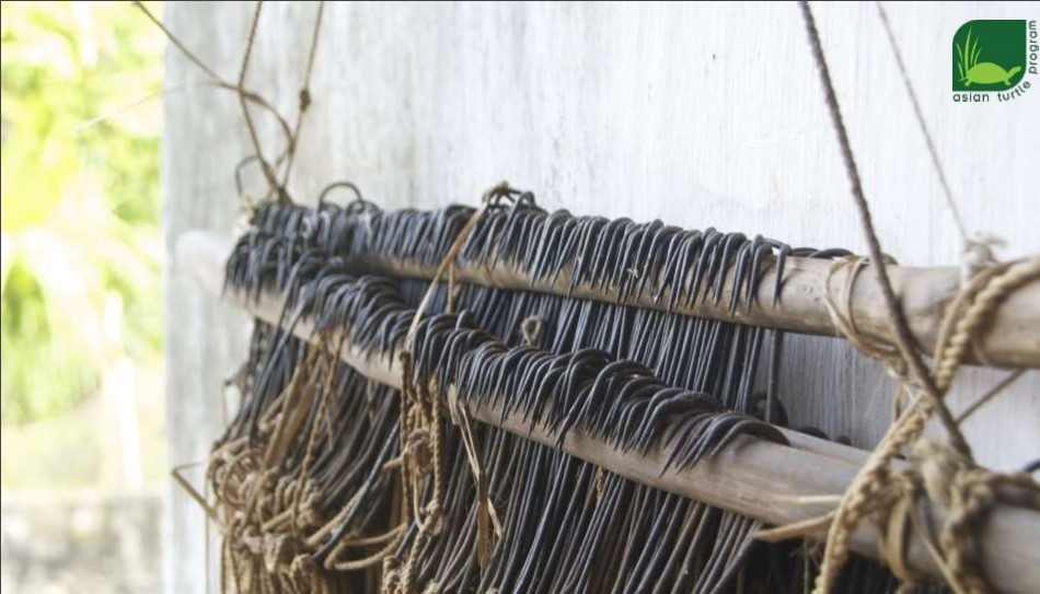 Lưỡi câu cỡ lớn từng được dùng để săn bắt rùa Hoàn Kiếm vào đầu thập niên 90. Ảnh: ATP.