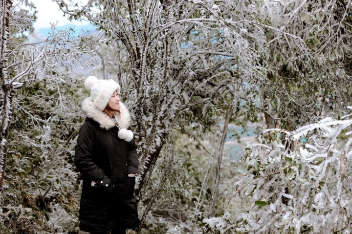 Miền Bắc đón không khí lạnh rất mạnh vào cuối tuần tới. Miền Bắc đón không khí lạnh rất mạnh vào cuối tuần tới.