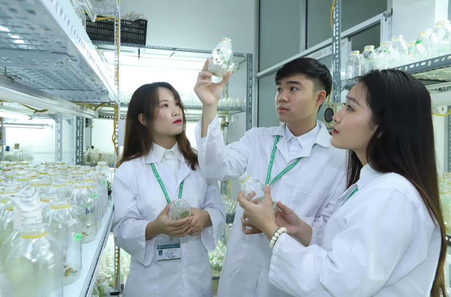 Việt Nam cần đẩy mạnh hoạt động nghiên cứu, ứng dụng khoa học công nghệ trong nông nghiệp.