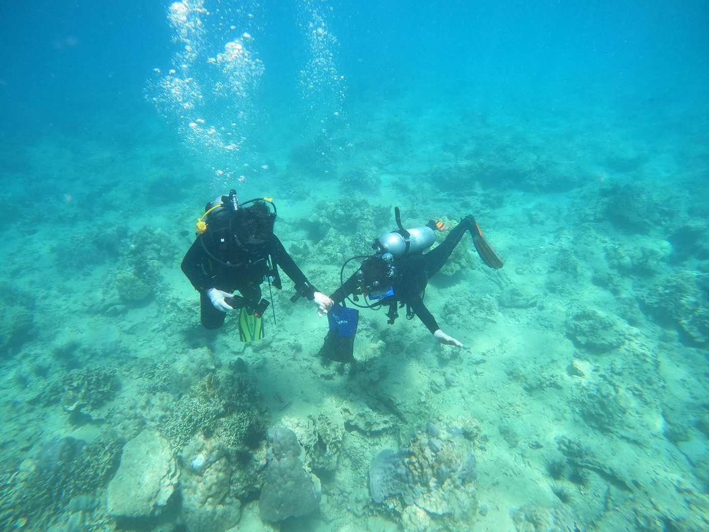 Theo nhận định của nhiều chuyên gia, bên cạnh nguyên nhân tự nhiên do biến đổi đại dương, sự suy giảm nghiêm trọng của rạn san hô nơi đây liên quan đến hoạt động khai thác du lịch quá nóng ở khu vực này trong nhiều năm. Ảnh: Trần Ngọc Anh.