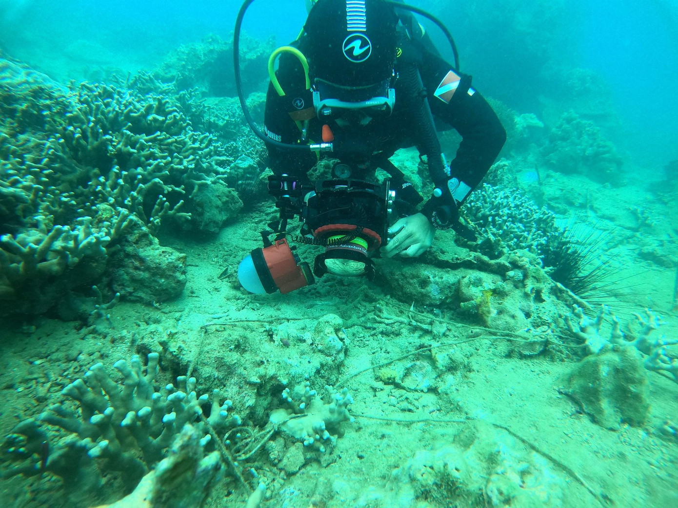 Vịnh Nha Trang, trong đó có Hòn Mun từng được biết đến một trong những khu vực có tầm quan trọng bậc nhất về bảo tồn biển và du lịch biển của Việt Nam. Rạn san hô có tầm quan trọng mang tính quốc tế và đa dạng sinh học cao nhất ở Việt Nam gồm hơn 222 loài cá rạn, trên 350 loài san hô (chiếm 40% san hô tạo rạn trên thế giới), 120 loài thân mềm, 70 loài giáp xác, 30 loài da gai, 70 loài rong biển và khoảng 7 loài cỏ biển… Ảnh: Trần Ngọc Anh.
