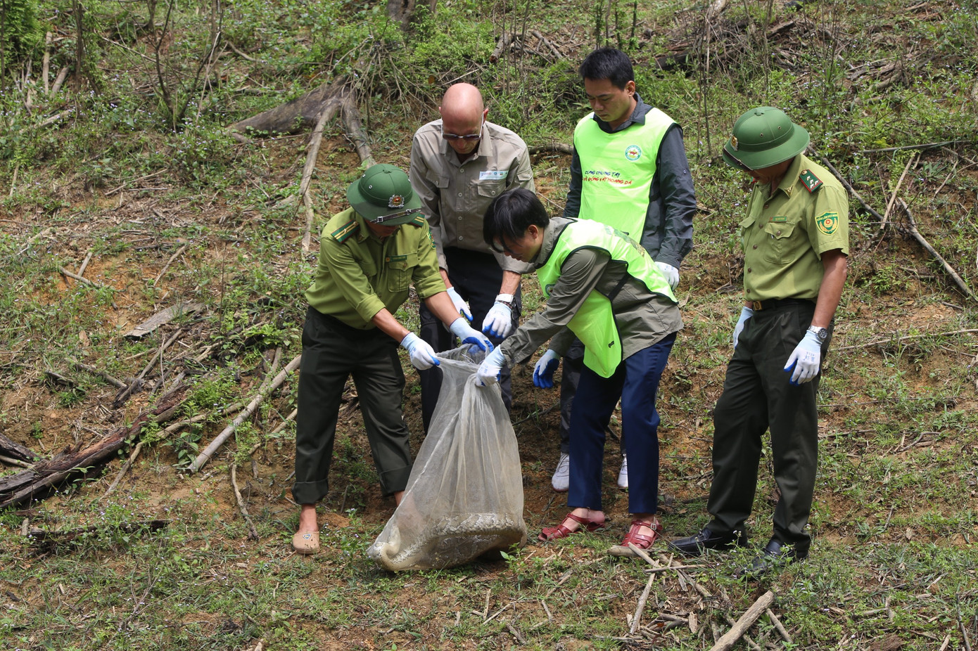VQG Vũ Quang thực hiện tái thả trăn về rừng, chiều 22/5. Ảnh: Phạm Trường