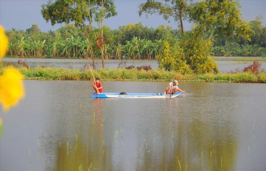 Chủ đề Ngày Nước thế giới năm nay là Nước cho hoà bình, tập trung vào vai trò quan trọng của tài nguyên nước đối với sự ổn định và thịnh vượng của thế giới. Ảnh: Cảnh Kỳ.