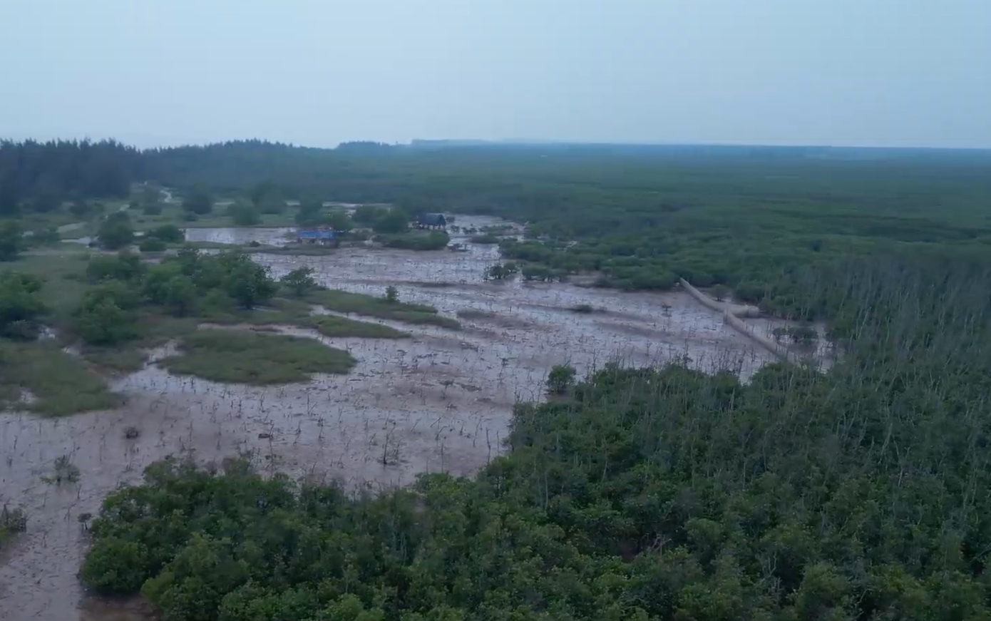 Rừng ngập mặn đóng vai trò rất quan trọng trong bảo vệ môi trường và thích ứng với biến đổi khí hậu. Ảnh: CH. Rừng ngập mặn đóng vai trò rất quan trọng trong bảo vệ môi trường và thích ứng với biến đổi khí hậu. Ảnh: CH.