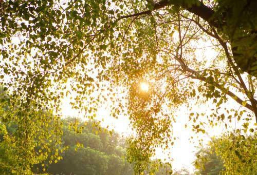 Hà Nội hửng nắng trước khi đón mưa dông kéo dài.