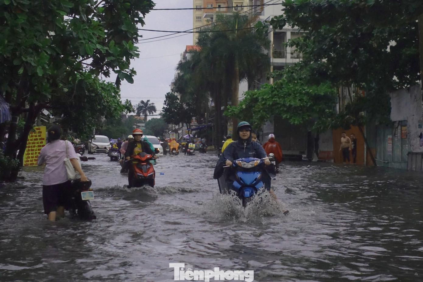Mưa bao phủ Nam Bộ và Miền Bắc trong đêm qua, dự báo tiếp tục trong hôm nay. Mưa bao phủ Nam Bộ và Miền Bắc trong đêm qua, dự báo tiếp tục trong hôm nay.