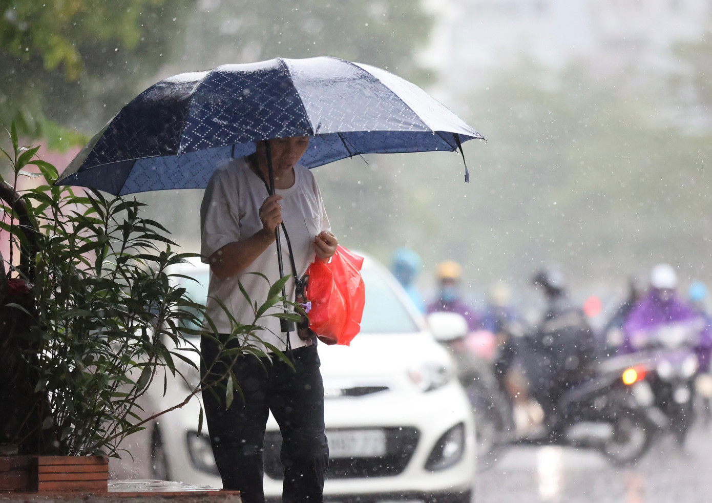 Miền Bắc hôm nay có mưa lớn ở vùng núi và trung du, đồng bằng mưa cục bộ vài nơi.