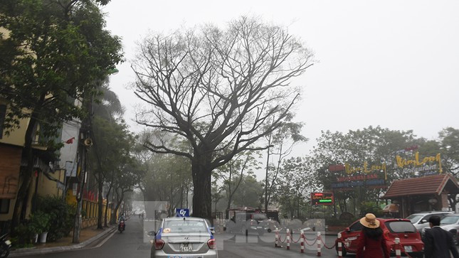 Miền Bắc tiếp tục nhiều mây, có sương mù trong hôm nay (18/3).