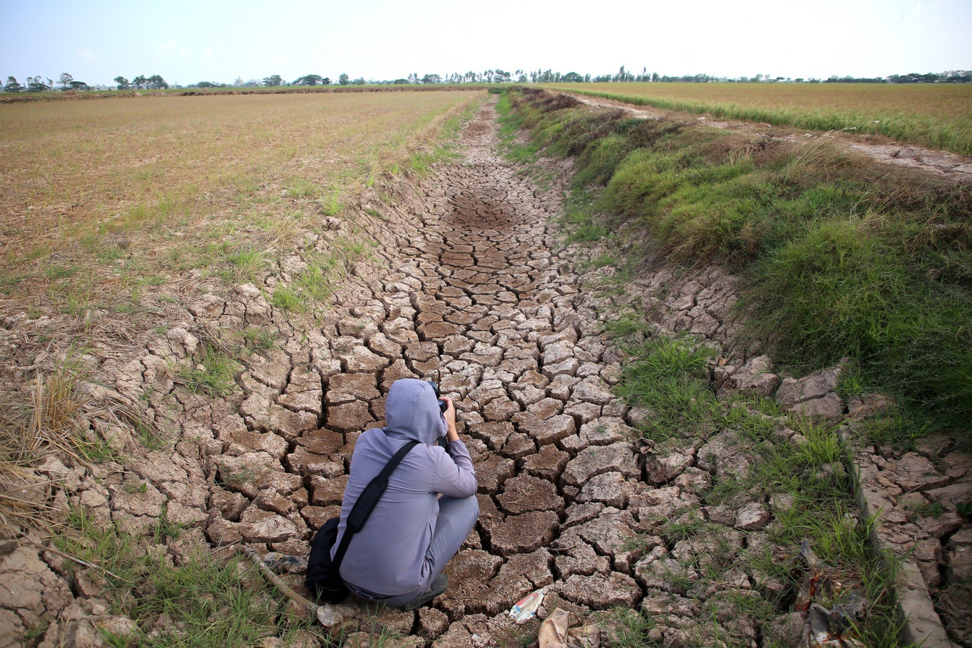 Đồng bằng sông Cửu Long vừa trải qua một mùa khô hạn nghiêm trọng. Ảnh: Nhật Huy.