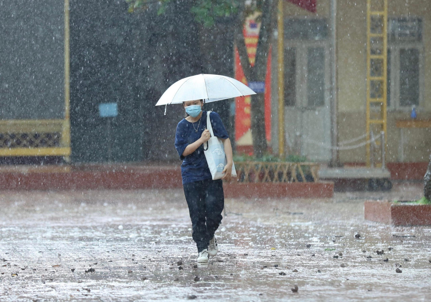 Hầu hết các khu vực trên cả nước sẽ có mưa dông vào chiều tối và tối hai ngày thi THPT Quốc gia. Ảnh: Như Ý.