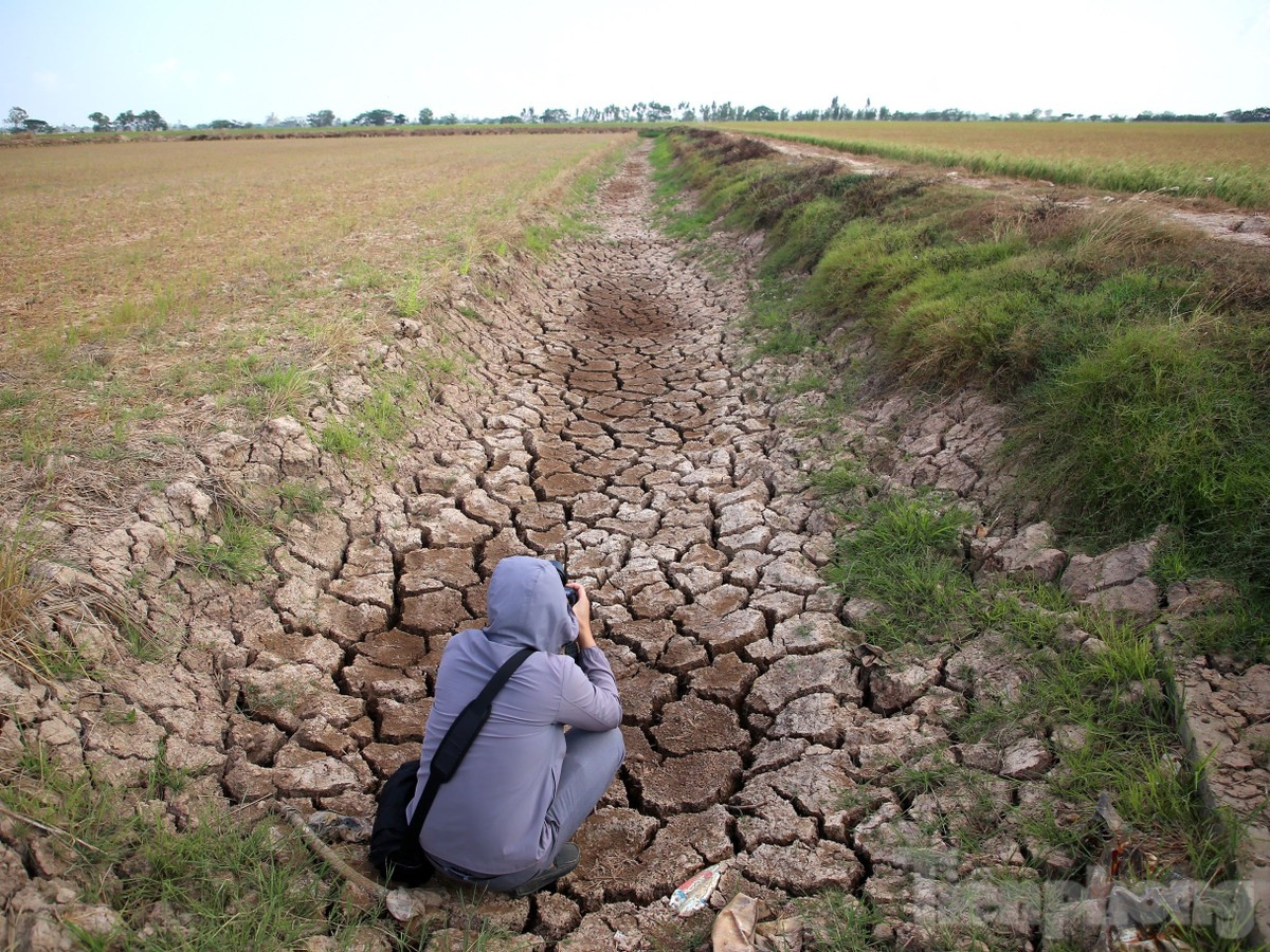 Xâm nhập mặn tại ĐBSCL năm 2024.