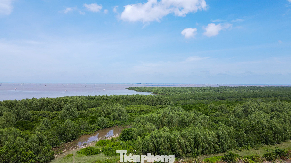 Khu Bảo tồn thiên nhiên đất ngập nước Tiền Hải tại địa bàn xã Nam Hưng. (Ảnh: Trường Hùng)