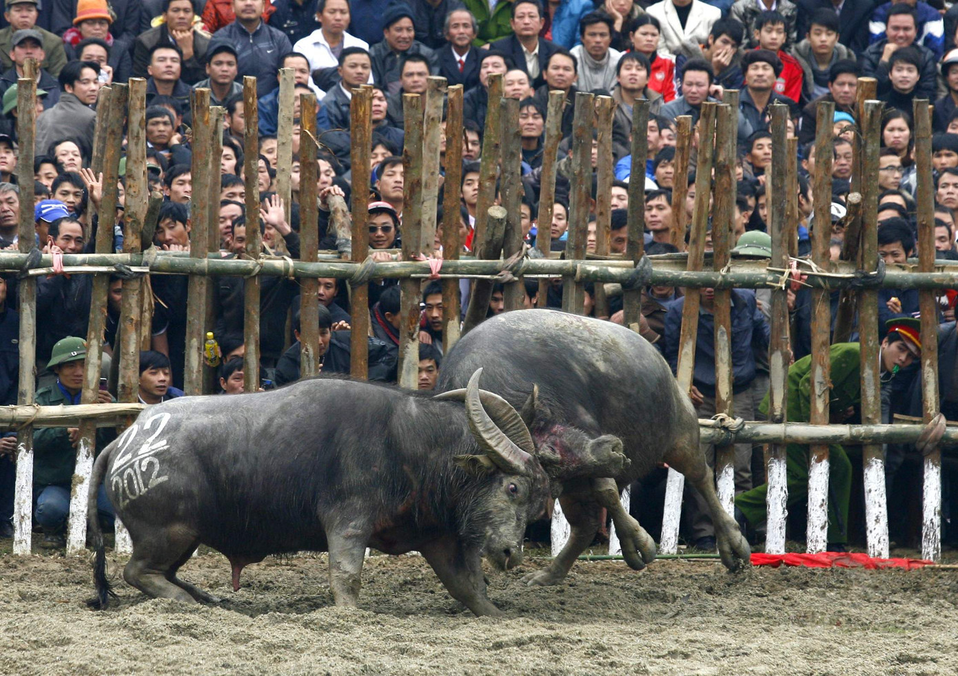 Tìm cách ngáng chân