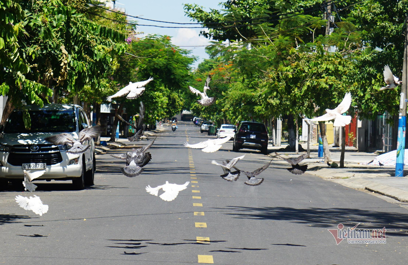 Các tuyến phố thường ngày vốn đông đúc nay vắng lặng, yên ắng
