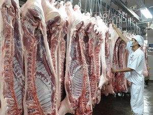  Thịt lợn sạch được đưa vào chế biến. Ảnh: Kim Phương (Thông Tấn Xã Việt Nam)