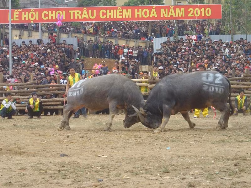 Quyết chiến - Ảnh: Chí Thiện