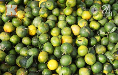 Thực tế đây là cam Trung Quốc. Không khó để phân biệt bới chúng có màu xanh hơi ngả vàng, vỏ mỏng, láng mịn, quả không quá to... Chủ hàng cam cho biết, giá cam Trung Quốc loại 1 là 100.000 đồng/thùng, loại 2 chỉ có 60.000 đồng/thùng