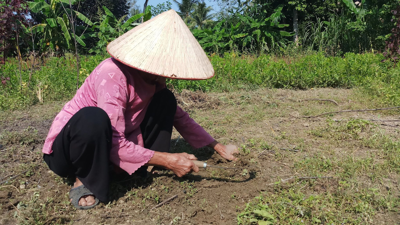 Xôn xao cụ bà 83 tuổi đạp xe lên xã xin 'thoát nghèo' ảnh 4