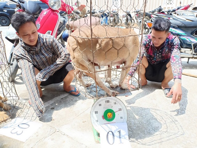 Chi tiết phương thức hoạt động của băng nhóm trộm chó quy mô lớn ở Thanh Hóa ảnh 4