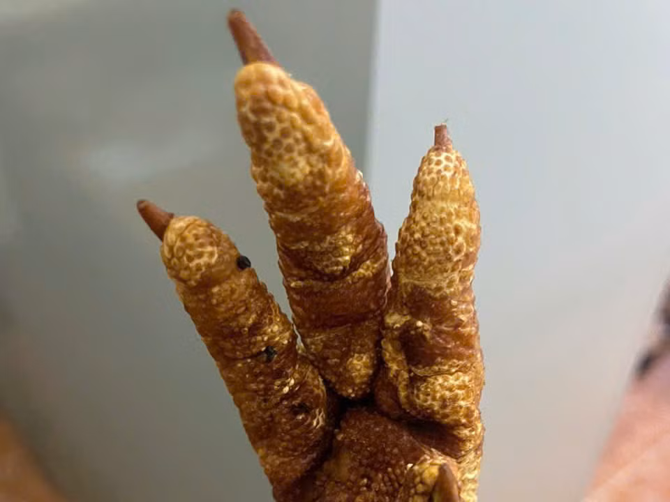Chân gà được chiên sẵn, đóng trong các bao tải.