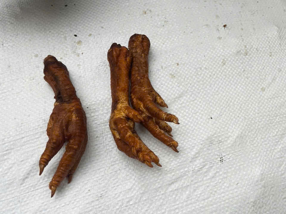 Chân gà được chiên sẵn, đóng trong các bao tải. Chân gà được chiên sẵn, đóng trong các bao tải.