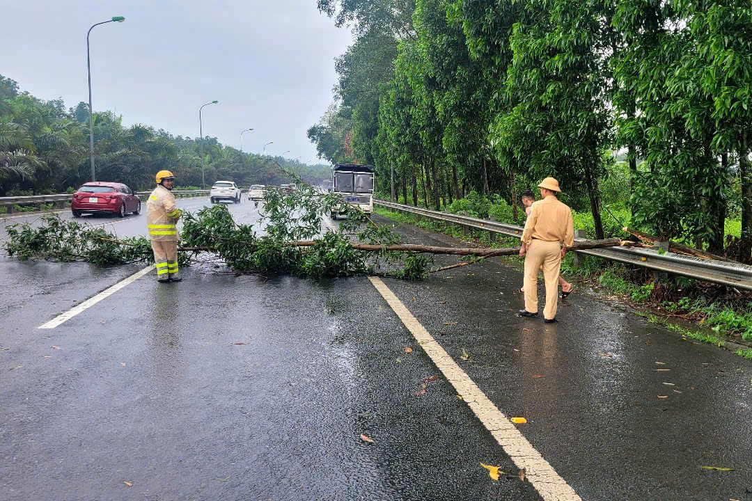 Cây đổ sau cơn mưa sáng 1/5 khiến giao thông gặp khó khăn. Lực lượng CSGT Hà Nội nhanh chóng có mặt điều tiết, phối hợp di dời giải phóng lòng đường.
