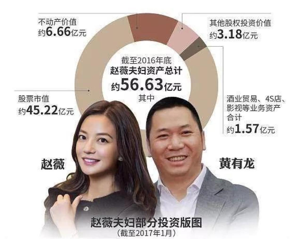 Tổng hợp khối tài sản của vợ chồng Triệu Vy tính đến tháng 1/2017, theo trang mạng Tencent. Tổng hợp khối tài sản của vợ chồng Triệu Vy tính đến tháng 1/2017, theo trang mạng Tencent.