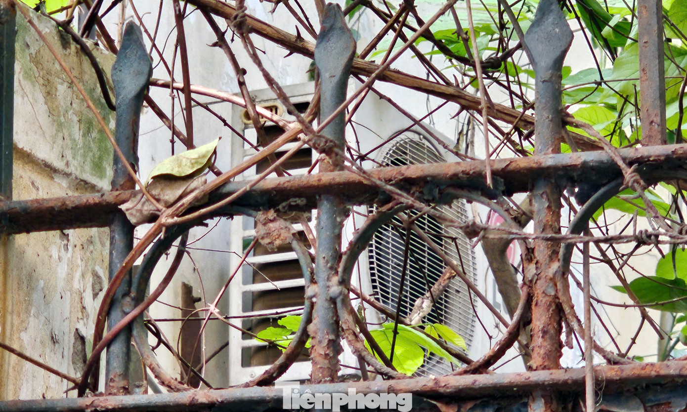 Hình ảnh chiếc điều hoà còn sót lại sau nhiều năm căn biệt thự không có người ở. Hình ảnh chiếc điều hoà còn sót lại sau nhiều năm căn biệt thự không có người ở.