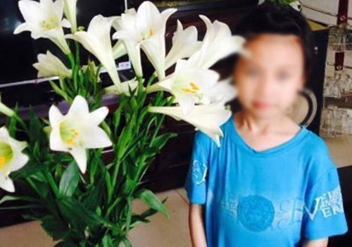 Những sự vụ quặn đau trong lòng ngành giáo dục ảnh 2