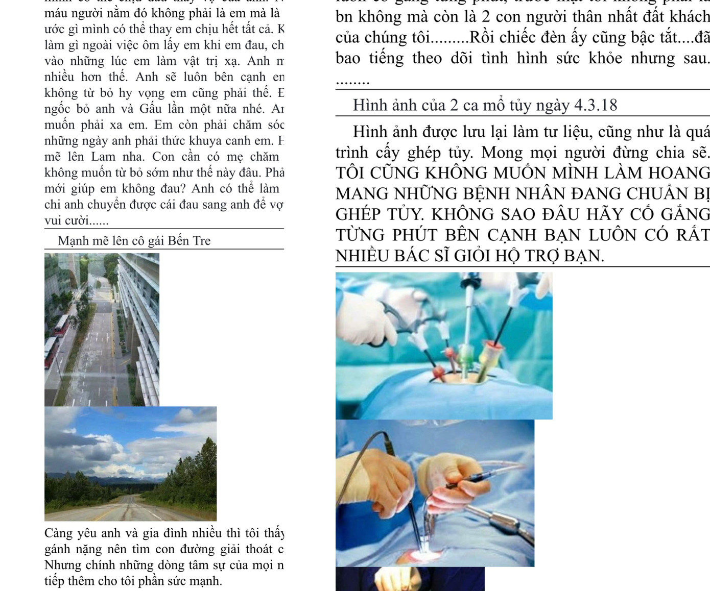 Một bức thư dài 6 trang được Phong Lam gửi đến cho những người quen biết kể về hành trình cô điều trị ung thư và những người đang mắc căn bệnh này để sau đó kêu gọi hảo tâm.