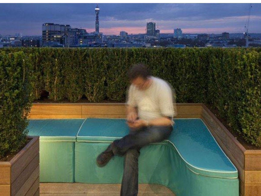 Khu vườn trên sân thượng . Khu vườn trên sân thượng