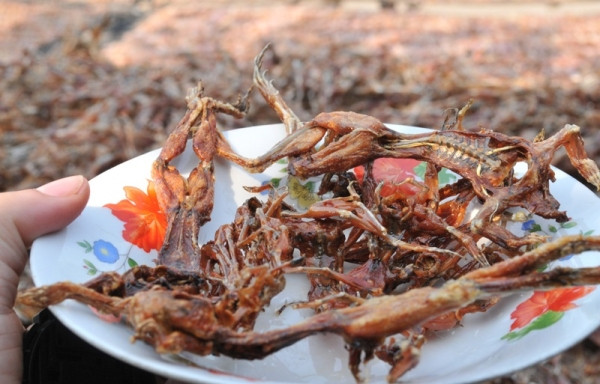 Về miền Tây thưởng thức 'vũ nữ chân dài' ảnh 4