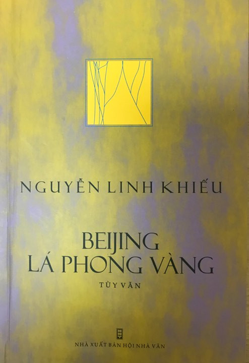 Đâu chỉ là lá phong vàng… ảnh 1