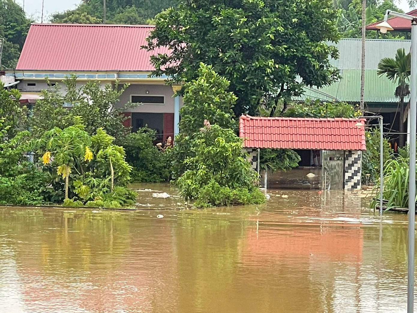 Các hộ dân bị cô lập hoàn toàn do nước sông Hồng dâng cao. Các hộ dân bị cô lập hoàn toàn do nước sông Hồng dâng cao.