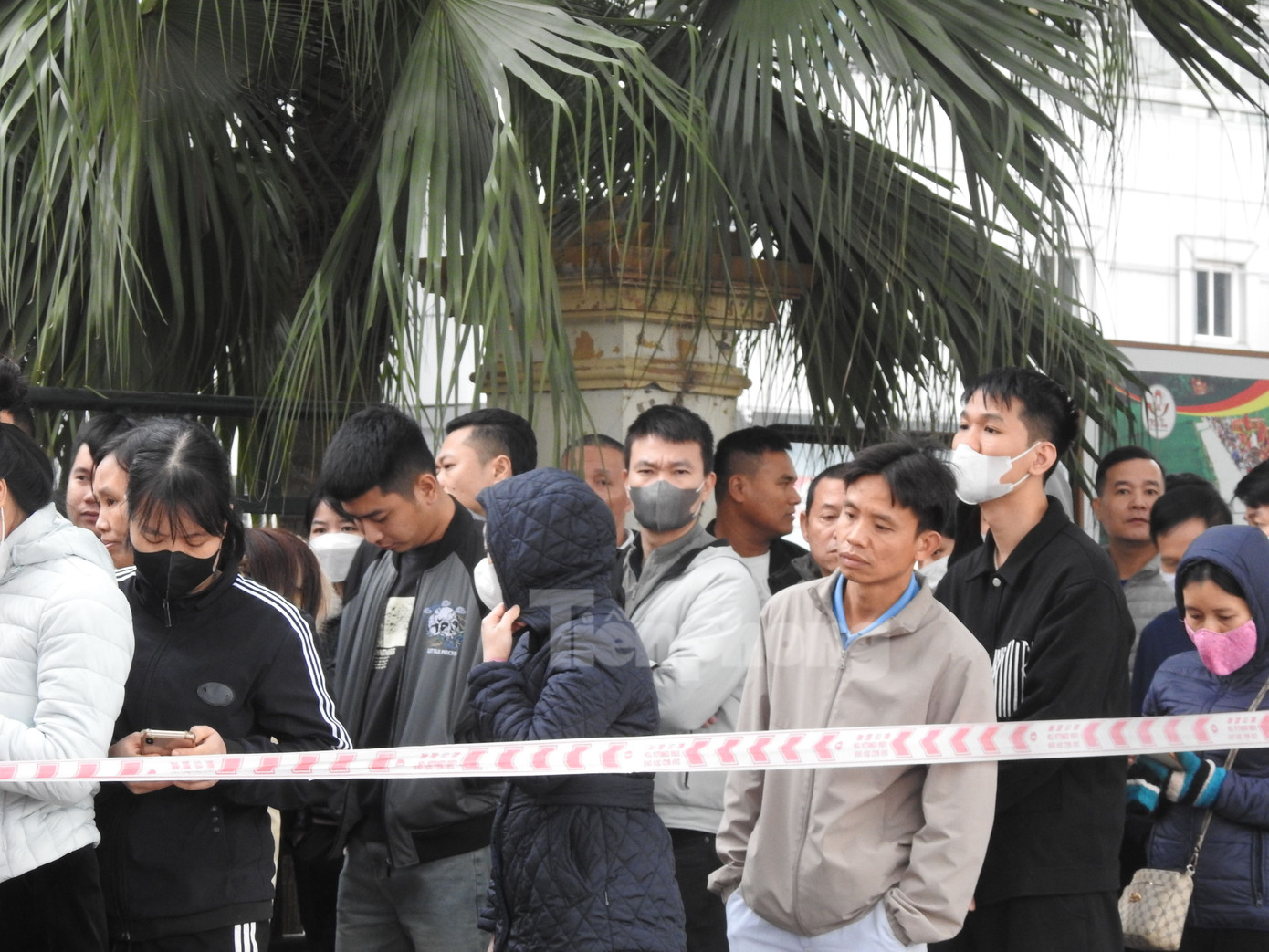 Mặc dù trời rét căm căm nhưng người hâm mộ vẫn xếp hàng chờ đến lượt không có tình trạng chen lấn, xô đẩy.