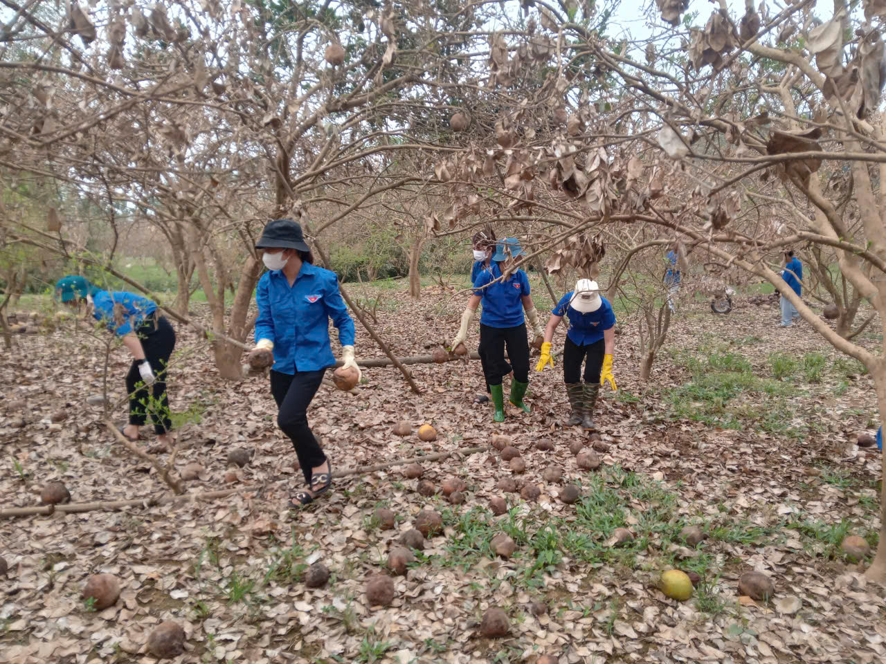 Thiệt hại do cơn bão số 3 khiến 210,7 ha diện tích bưởi trên địa bàn huyện Đoan Hùng bị ngập và chết. Thiệt hại do cơn bão số 3 khiến 210,7 ha diện tích bưởi trên địa bàn huyện Đoan Hùng bị ngập và chết.