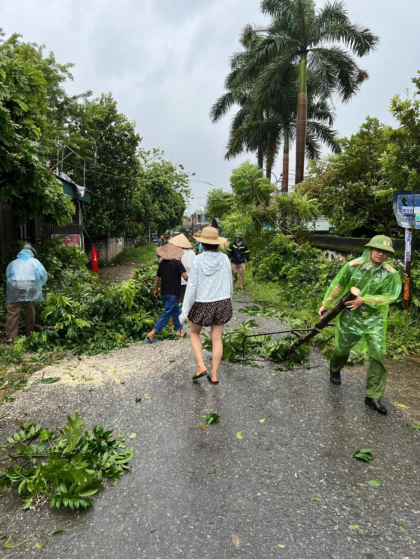 Trên địa bàn huyện Thanh Ba mưa lớn kèm gió giật mạnh làm 12 cây xanh ven đường đổ gãy chắn đường đi và đường điện của dân sinh, tiềm ẩn mất an toàn cho người và phương tiện tham gia giao thông.