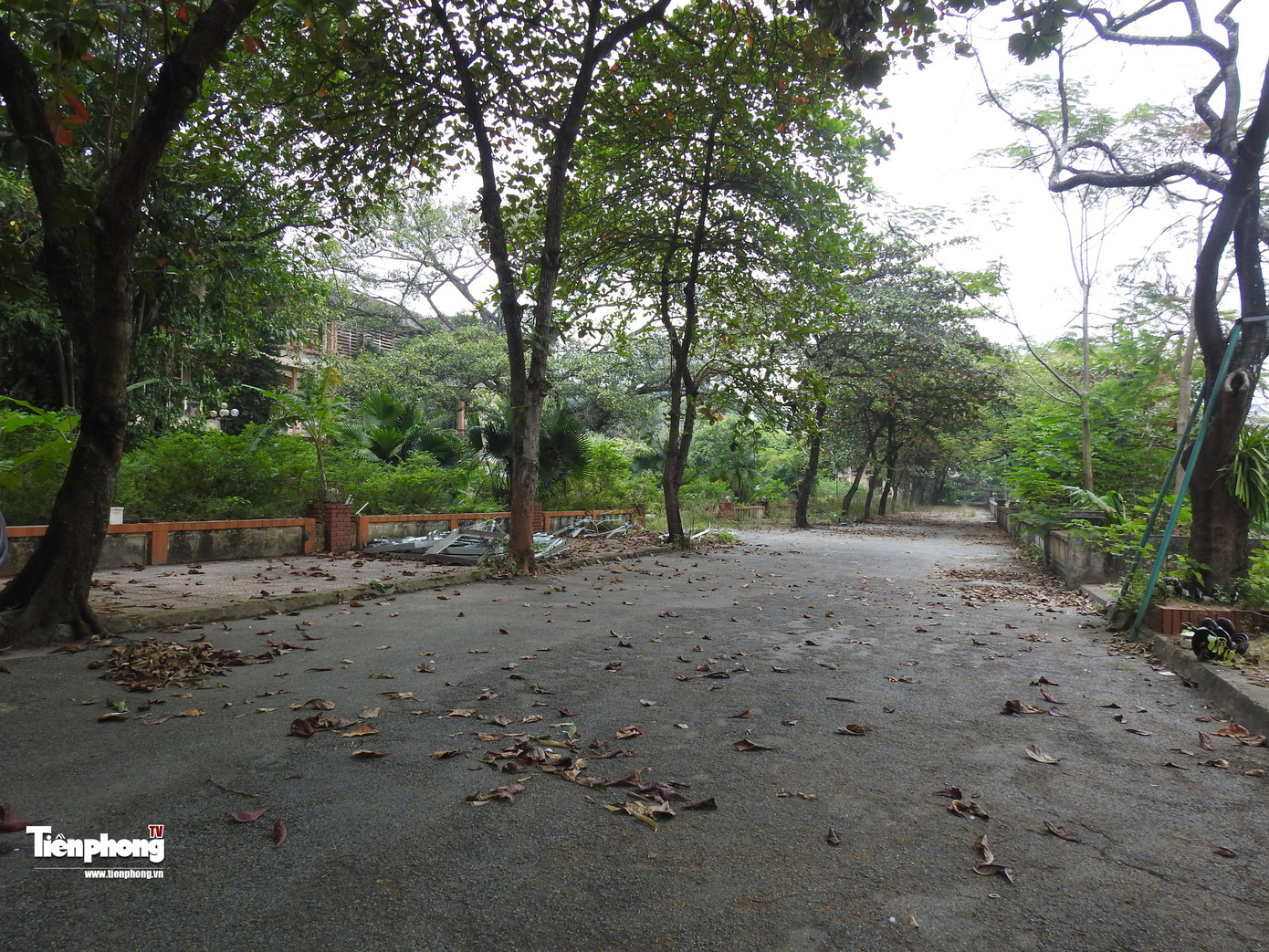 Sau 40 năm xây dựng và phát triển, Trường THPT Chuyên Hùng Vương đã khẳng định được vị trí thuộc nhóm các trường chuyên hàng đầu trong cả nước. Chất lượng giáo dục của nhà trường không ngừng được nâng lên.