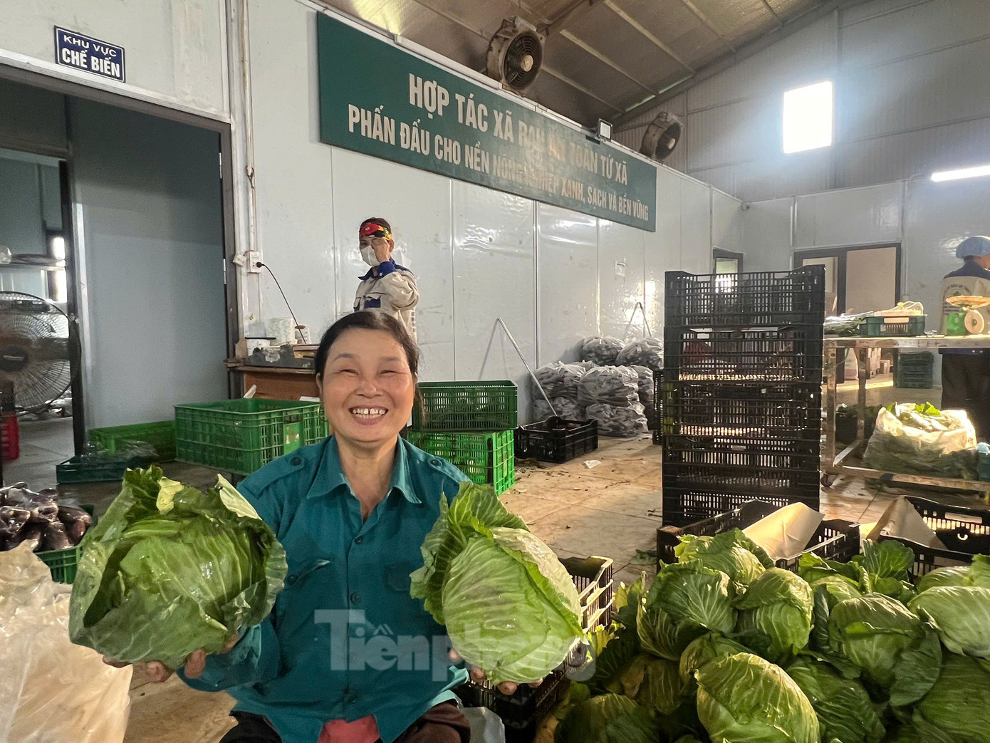 Rau sau khi thu hoạch sẽ được chuyển về khu xưởng để đóng gói mang đi giao cho các siêu thị và hơn 30 chuỗi cửa hàng thực phẩm sạch ký liên kết tiêu thụ; đạt doanh thu khoảng 15 tỷ mỗi năm.