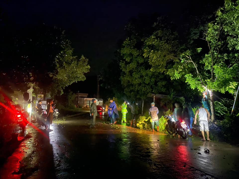 Khoảng 21h00 đêm 7/9, do ảnh hưởng của cơn bão số 3, tại đường Tỉnh lộ 317 thuộc xóm Gò Đa, xóm Viết, Lương Sơn, xã Tinh Nhuệ, huyện Thanh Sơn xảy ra mưa và gió to làm cho nhiều cây cối bị bật gốc, đổ ngang đường, gây cản trở giao thông.