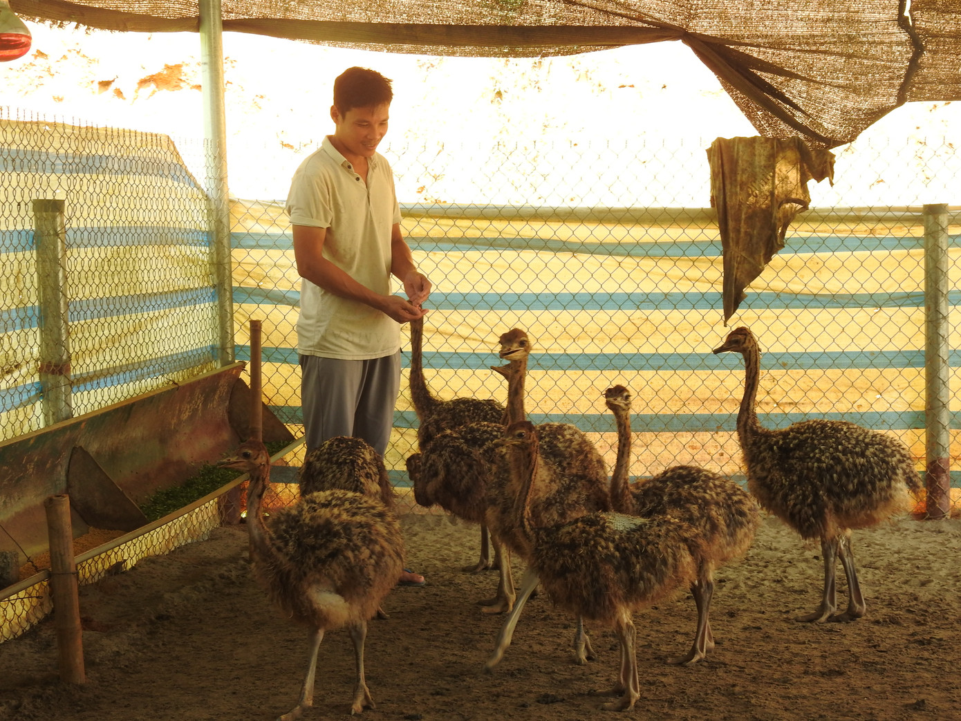 Anh Đinh Trọng Vĩnh (SN 1991) vừa làm kinh tế giỏi, vừa là đoàn viên thanh niên năng động, nhiệt huyết với các hoạt động của Đoàn, Hội.