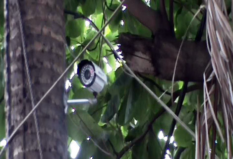 Cuộc đời giang hồ của ông trùm sòng bài nhiễm HIV ảnh 1