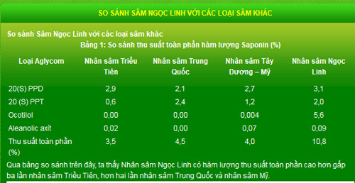3.000 củ sâm Ngọc Linh và cuộc chơi 'cũng lắm công phu' ảnh 9