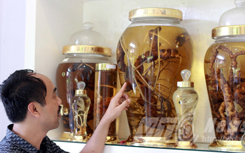 Chuyện người đàn ông dốc tiền 'chơi' Sâm Ngọc Linh ảnh 1