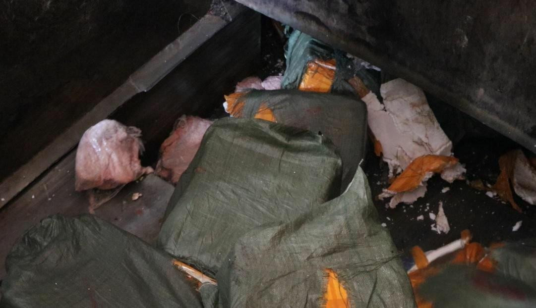 7 tấn nội tạng được xử lý theo hình thức chôn lấp 7 tấn nội tạng được xử lý theo hình thức chôn lấp