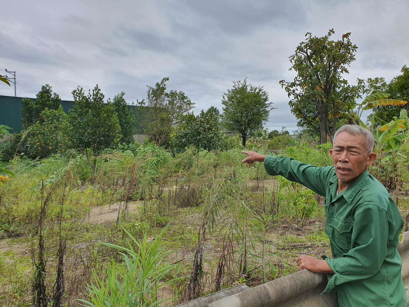 Ngoài việc bán đất công trái thẩm quyền, người dân còn phản ánh về tình trạng bao che cho nhà xưởng xây dựng tràn lan trên đất nông nghiệp Ngoài việc bán đất công trái thẩm quyền, người dân còn phản ánh về tình trạng bao che cho nhà xưởng xây dựng tràn lan trên đất nông nghiệp