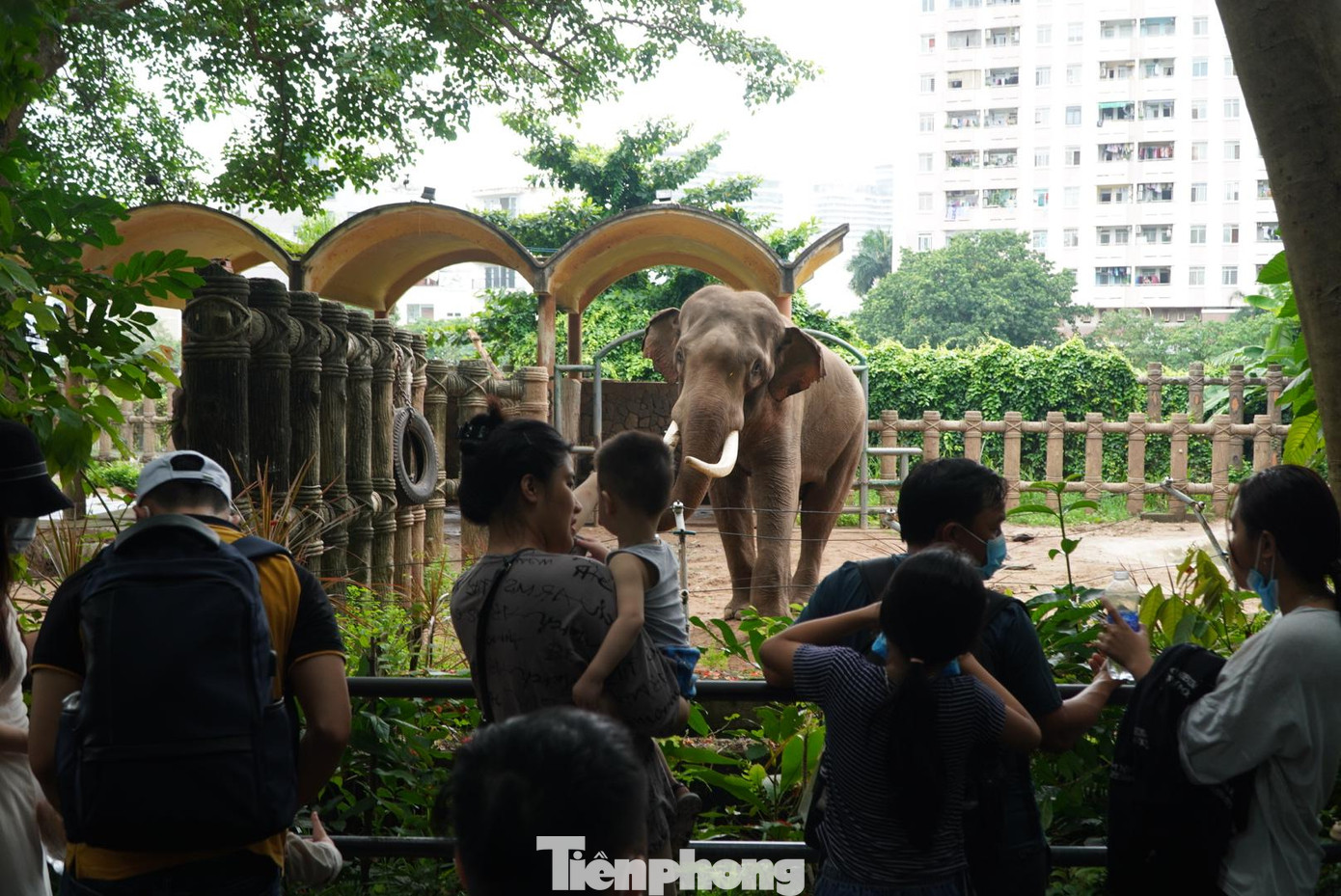 Theo các phụ huynh, không gian ở Thảo Cầm Viên thoáng mát, nhiều cây xanh, khung cảnh rộng lớn, có nhiều loài thú và nằm giữa trung tâm thành phố, rất tiện cho việc di chuyển của các gia đình.