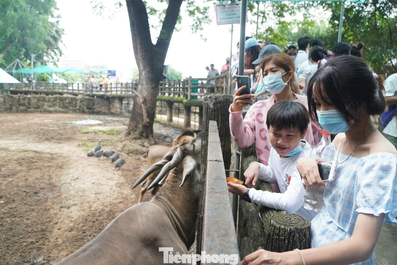 Bạn nhỏ thích thú với những động vật bên trong Thảo Cầm Viên.